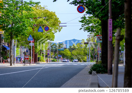 View of the north side of Ohori Park in Chuo Ward, Fukuoka City. The road leading to the traffic light at the entrance to Nishi Park. 126785589