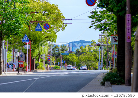 View of the north side of Ohori Park in Chuo Ward, Fukuoka City. The road leading to the traffic light at the entrance to Nishi Park. Cropped. 126785590