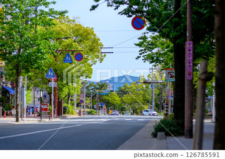 View of the north side of Ohori Park in Chuo Ward, Fukuoka City. The road leading to the traffic light at the entrance to Nishi Park. View of the north side of Ohori Park in Chuo Ward, Fukuoka City. The road leading to the traffic light at the entrance to Nishi Park. 126785591