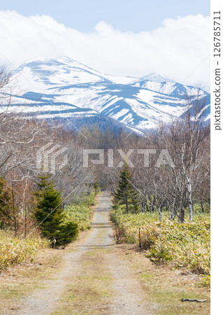 從Furepe瀑布瞭望台附近眺望的知床山脈 126785711