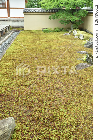 龍源院的龍源庭(住持室的北花園),大德寺的分院 龍源院的龍源庭(住持室的北花園),大德寺的分院 126786012