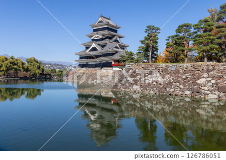 Historic Matsumoto Castle with its striking reflection in the moat, framed by Japanese pines 126786051
