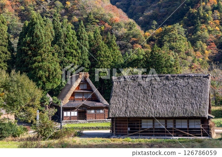 Traditional gassho-zukuri houses in Suganuma village, Nanto, Japan Traditional gassho-zukuri houses in Suganuma village, Nanto, Japan 126786059