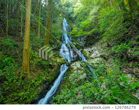 Yamaguchi City / Kinkei Falls (Otoko Falls) Yamaguchi City / Kinkei Falls (Otoko Falls) 126786279
