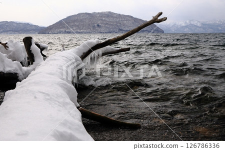 Icicles on a fallen tree by a lake in winter 126786336