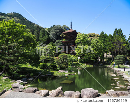 Rurikoji Temple Five-Story Pagoda 2025 Rurikoji Temple Five-Story Pagoda 2025 126786339