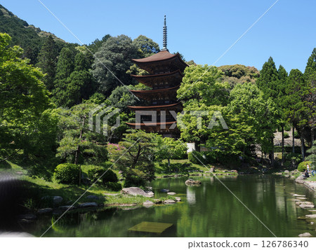 琉璃光寺五層塔 2025 琉璃光寺五層塔 2025 126786340