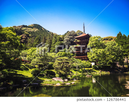 Rurikoji Temple Five-Story Pagoda 2025 126786441