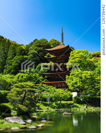 Rurikoji Temple Five-Story Pagoda 2025 Rurikoji Temple Five-Story Pagoda 2025 126786442