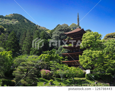 琉璃光寺五層塔 2025 126786443