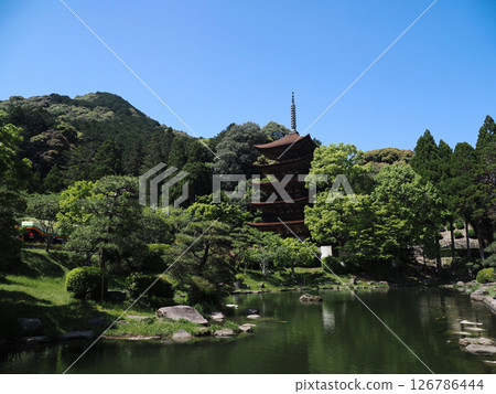 Rurikoji Temple Five-Story Pagoda 2025 126786444