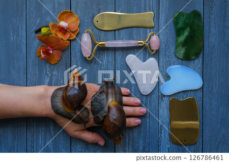 Skin care beauty concept with snails, face roller and guasha massagers on dark grey background. High quality photo 126786461