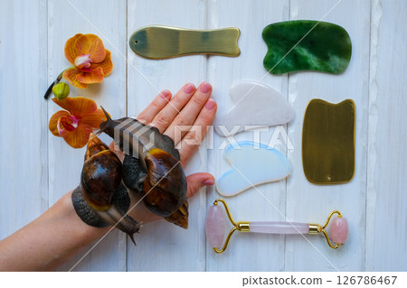 Two achatinas on hand and facial massage kit. Face roller and guasha massager made from natural stones and metal, flat lay. High quality photo 126786467