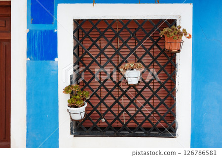 Window with iron grille and hanging flower pots on a bright blue wall. Concept of mediterranean architecture, rustic design and colorful exterior decoration in sunny climate. 126786581