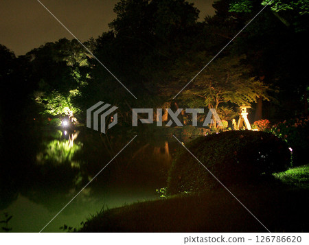 石川縣金澤市兼六園霞池的鬼神燈籠 126786620