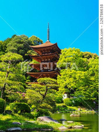 琉璃光寺五層塔 2025 126786638
