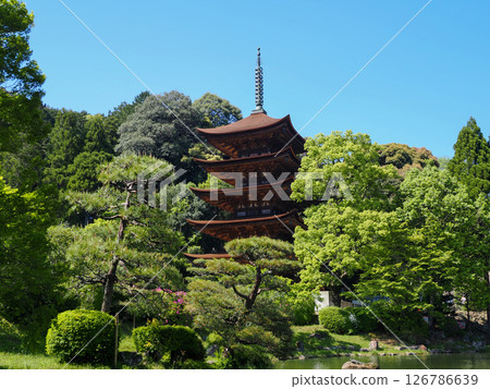 琉璃光寺五層塔 2025 琉璃光寺五層塔 2025 126786639