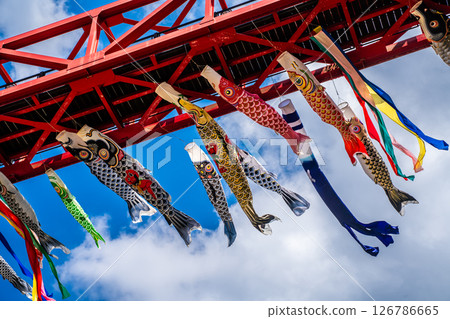 中尾條城公園的鯉魚旗【長崎縣西園木郡長與町】 126786665