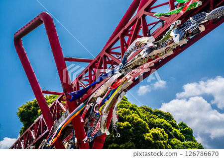 Carp streamers at Nakaojo Castle Park [Nagasaki Prefecture, Nishisonogi District, Nagayo Town] 126786670