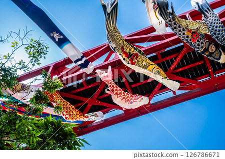 中尾條城公園的鯉魚旗【長崎縣西園木郡長與町】 中尾條城公園的鯉魚旗【長崎縣西園木郡長與町】 126786671
