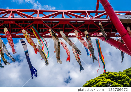 中尾條城公園的鯉魚旗【長崎縣西園木郡長與町】 126786672