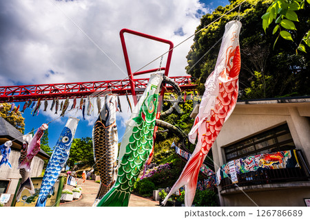 Carp streamers at Nakaojo Castle Park [Nagasaki Prefecture, Nishisonogi District, Nagayo Town] 126786689