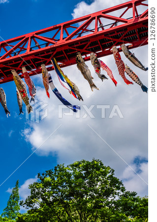 Carp streamers at Nakaojo Castle Park [Nagasaki Prefecture, Nishisonogi District, Nagayo Town] 126786690