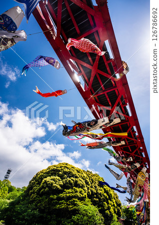 Carp streamers at Nakaojo Castle Park [Nagasaki Prefecture, Nishisonogi District, Nagayo Town] 126786692
