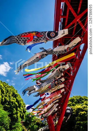Carp streamers at Nakaojo Castle Park [Nagasaki Prefecture, Nishisonogi District, Nagayo Town] 126786695