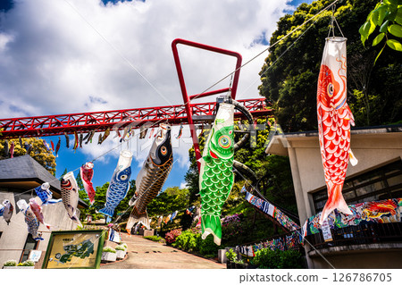中尾條城公園的鯉魚旗【長崎縣西園木郡長與町】 126786705