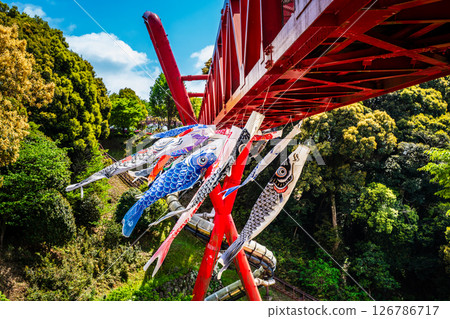 Carp streamers at Nakaojo Castle Park [Nagasaki Prefecture, Nishisonogi District, Nagayo Town] 126786717