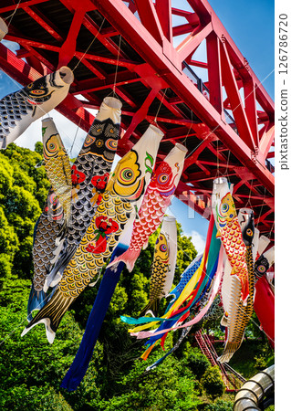 中尾條城公園的鯉魚旗【長崎縣西園木郡長與町】 126786720