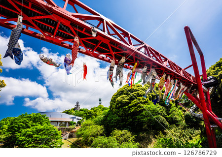 Carp streamers at Nakaojo Castle Park [Nagasaki Prefecture, Nishisonogi District, Nagayo Town] 126786729