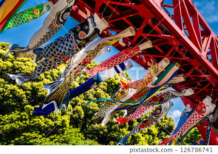 中尾條城公園的鯉魚旗【長崎縣西園木郡長與町】 126786741