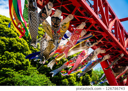 中尾條城公園的鯉魚旗【長崎縣西園木郡長與町】 126786743