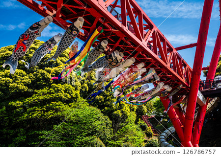 Carp streamers at Nakaojo Castle Park [Nagasaki Prefecture, Nishisonogi District, Nagayo Town] 126786757