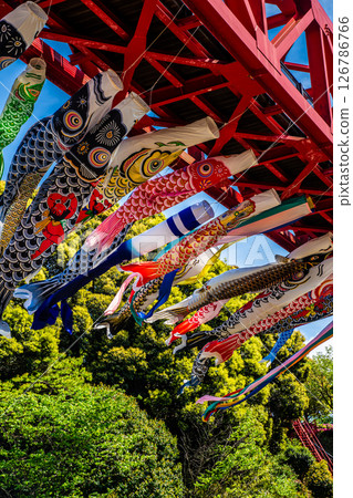 Carp streamers at Nakaojo Castle Park [Nagasaki Prefecture, Nishisonogi District, Nagayo Town] 126786766