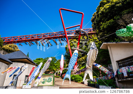 Carp streamers at Nakaojo Castle Park [Nagasaki Prefecture, Nishisonogi District, Nagayo Town] 126786786