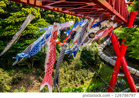 Carp streamers at Nakaojo Castle Park [Nagasaki Prefecture, Nishisonogi District, Nagayo Town] 126786797