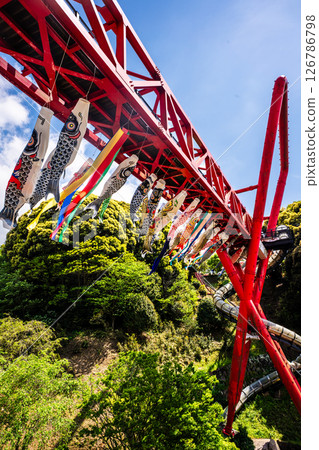 Carp streamers at Nakaojo Castle Park [Nagasaki Prefecture, Nishisonogi District, Nagayo Town] 126786798