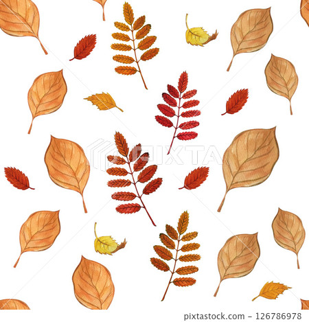 leaf pattern autumn watercolor leaf pattern autumn watercolor 126786978