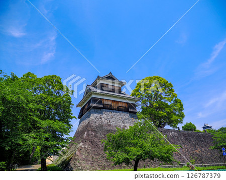 重建下的熊本城 重建下的熊本城 126787379