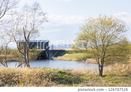 北海道釧路濕原岩缽水門 126787526