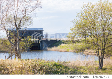 北海道釧路濕原岩缽水門 北海道釧路濕原岩缽水門 126787527