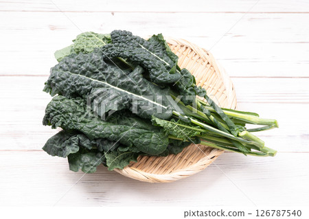 羽衣甘藍 羽衣甘藍 126787540