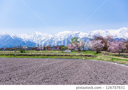 從白馬站後方眺望北阿爾卑斯山、白馬村 126787631