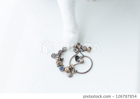 White cats paw with jewellery bracelet. Closeup, selective focus. 126787854