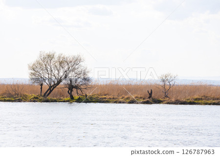 Scenery of the Kushiro Marsh in Eastern Hokkaido 126787963