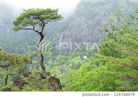 Mirror Rock and Bell Tower Pine (Gorozuka) on Mount Horaiji 126788076