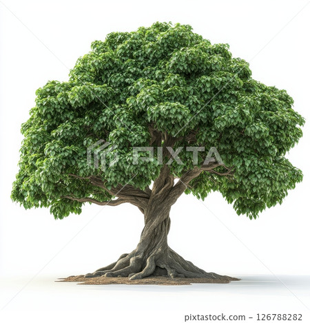 Large Green Tree With Thick Trunk and Broad Canopy in Nature 126788282